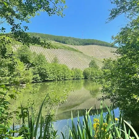 Intour Appartamento *